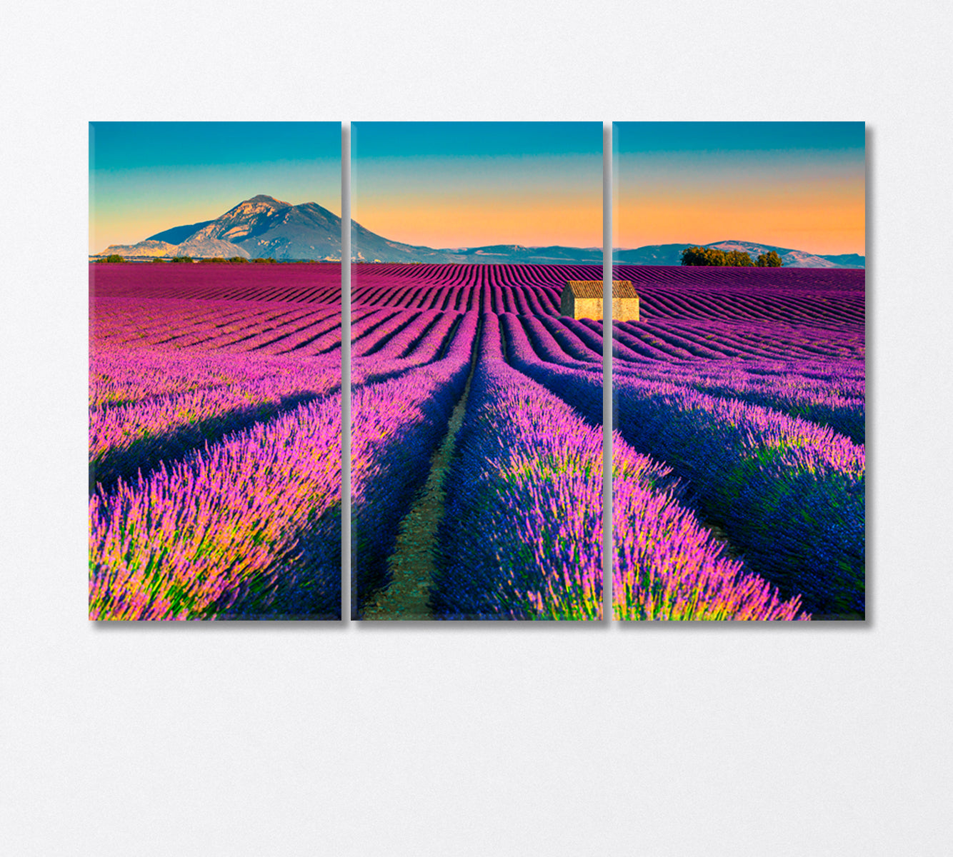 Majestic Colorful Lavender Fields Provence France Canvas Print-Canvas Print-CetArt-3 Panels-36x24 inches-CetArt