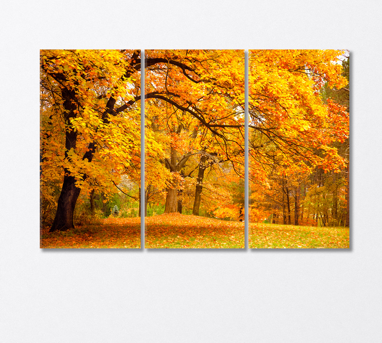 Autumn Landscape Canvas Print-Canvas Print-CetArt-3 Panels-36x24 inches-CetArt