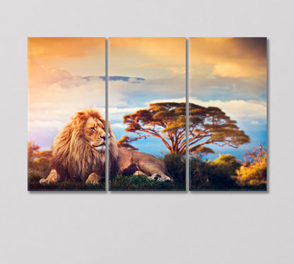 Lion Lying on Grass in Savannah Africa Canvas Print-Canvas Print-CetArt-3 Panels-36x24 inches-CetArt