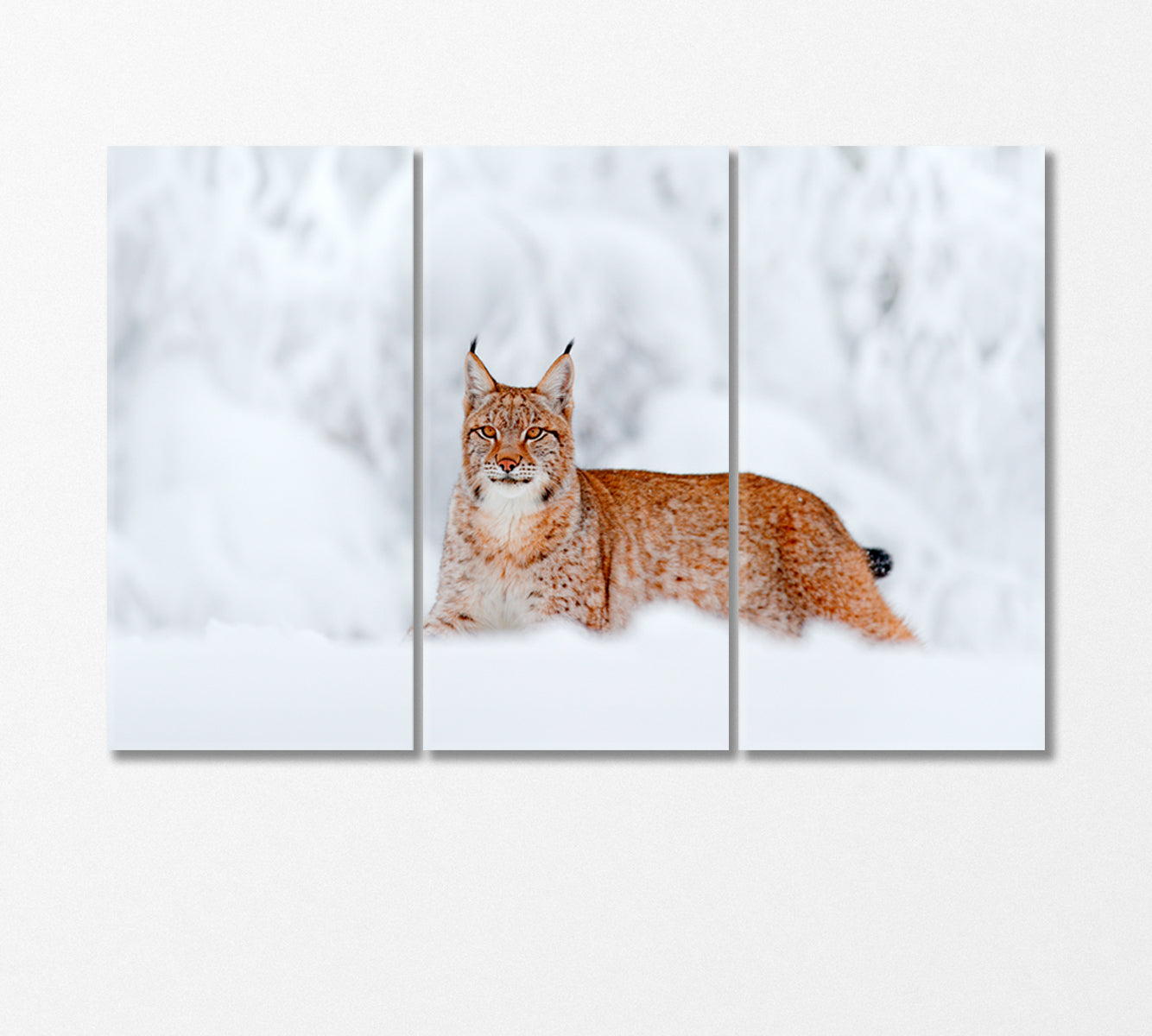 Wild Lynx in the Snowy Forest Canvas Print-Canvas Print-CetArt-3 Panels-36x24 inches-CetArt