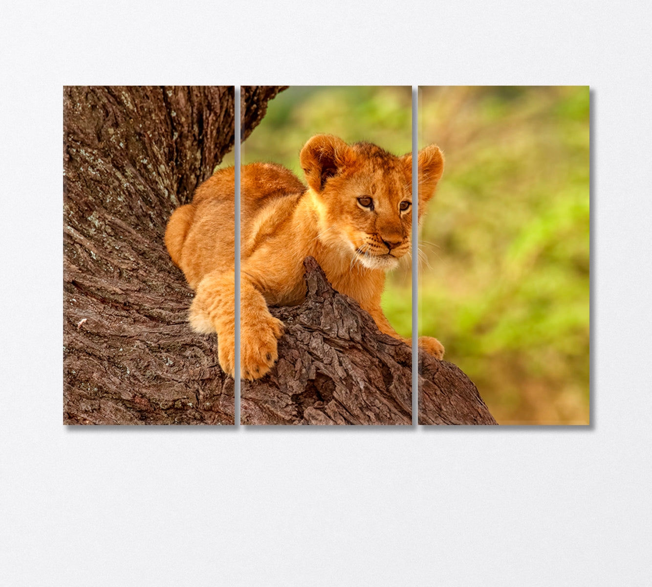 Cute Wild Lion Cub Resting on a Tree Canvas Print-Canvas Print-CetArt-1 Panel-24x16 inches-CetArt