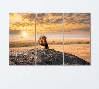 Lion King Resting on Rock Canvas Print-Canvas Print-CetArt-3 Panels-36x24 inches-CetArt