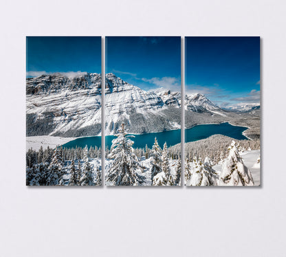 Peyto Lake in Winter in Banff National Park Canada Canvas Print-Canvas Print-CetArt-3 Panels-36x24 inches-CetArt