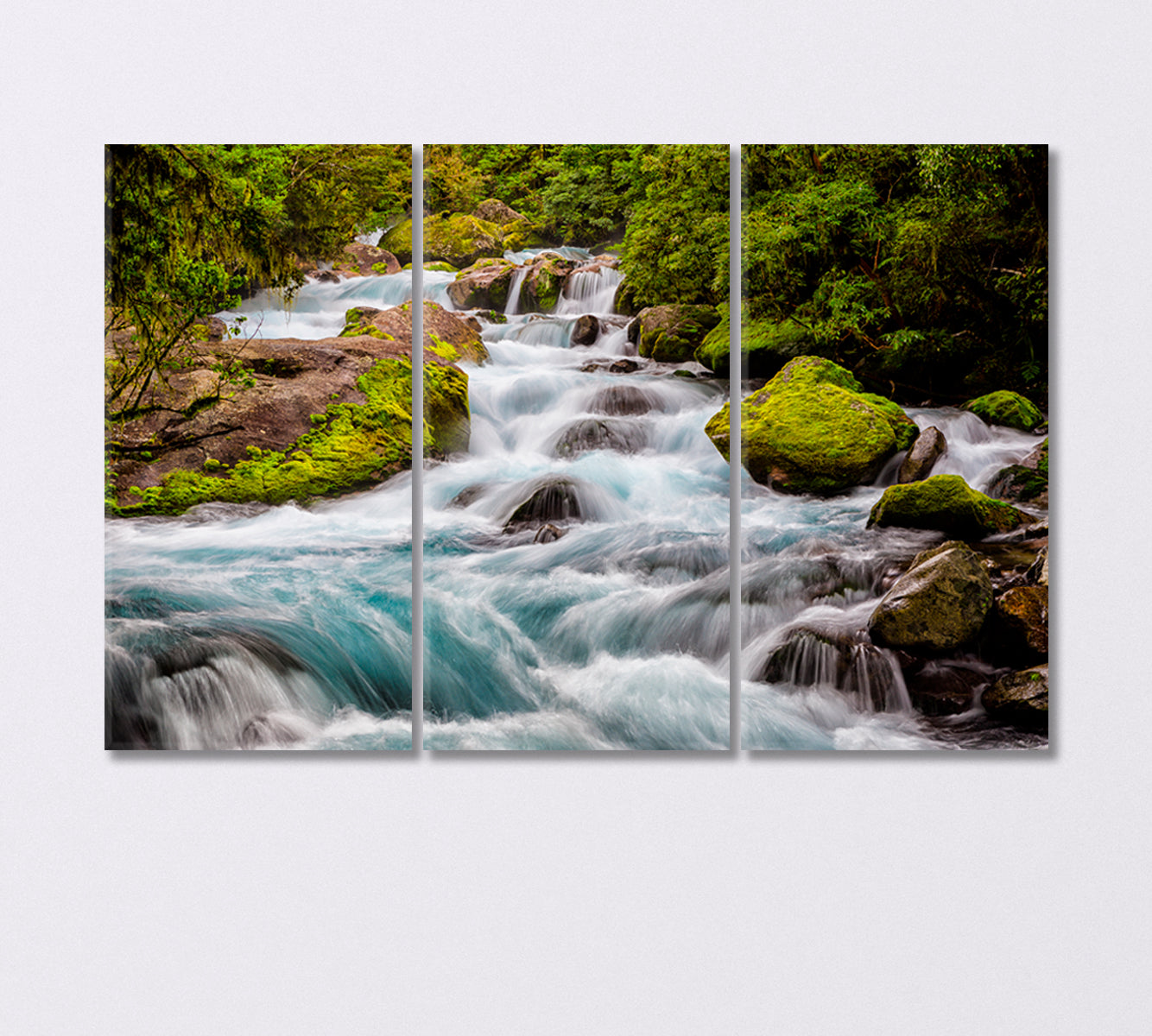 Stream in Fiordland National Park New Zealand Canvas Print-Canvas Print-CetArt-3 Panels-36x24 inches-CetArt