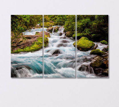 Stream in Fiordland National Park New Zealand Canvas Print-Canvas Print-CetArt-3 Panels-36x24 inches-CetArt