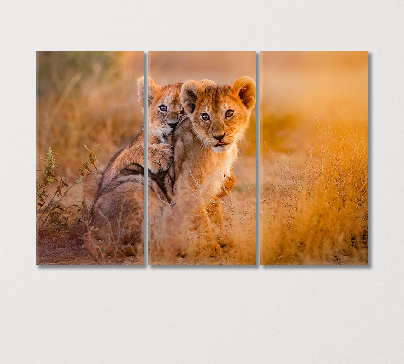 Two Cute Lion Cubs Canvas Print-Canvas Print-CetArt-3 Panels-36x24 inches-CetArt