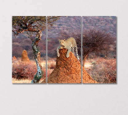 Leopard on a Termite Hill Namibia Africa Canvas Print-Canvas Print-CetArt-3 Panels-36x24 inches-CetArt