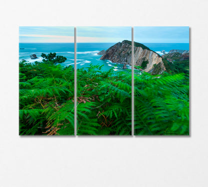 Wild Fern on El Silencio Beach Spain Canvas Print-Canvas Print-CetArt-3 Panels-36x24 inches-CetArt