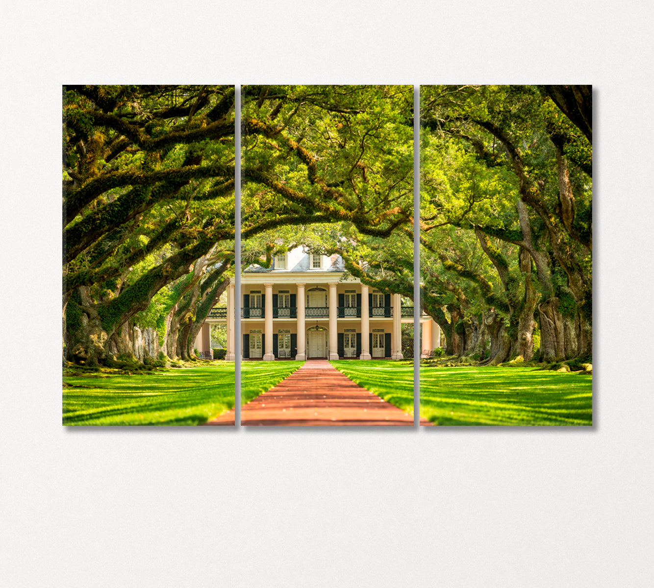 Oak Alley Plantation Louisiana Canvas Print-Canvas Print-CetArt-3 Panels-36x24 inches-CetArt