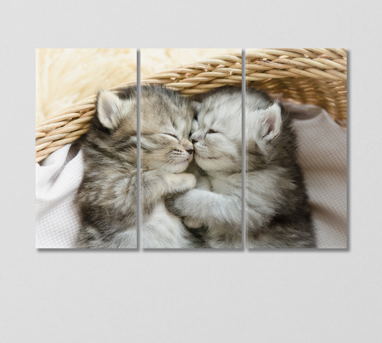 Cute Kittens Sleeping an Embrace Canvas Print-Canvas Print-CetArt-3 Panels-36x24 inches-CetArt