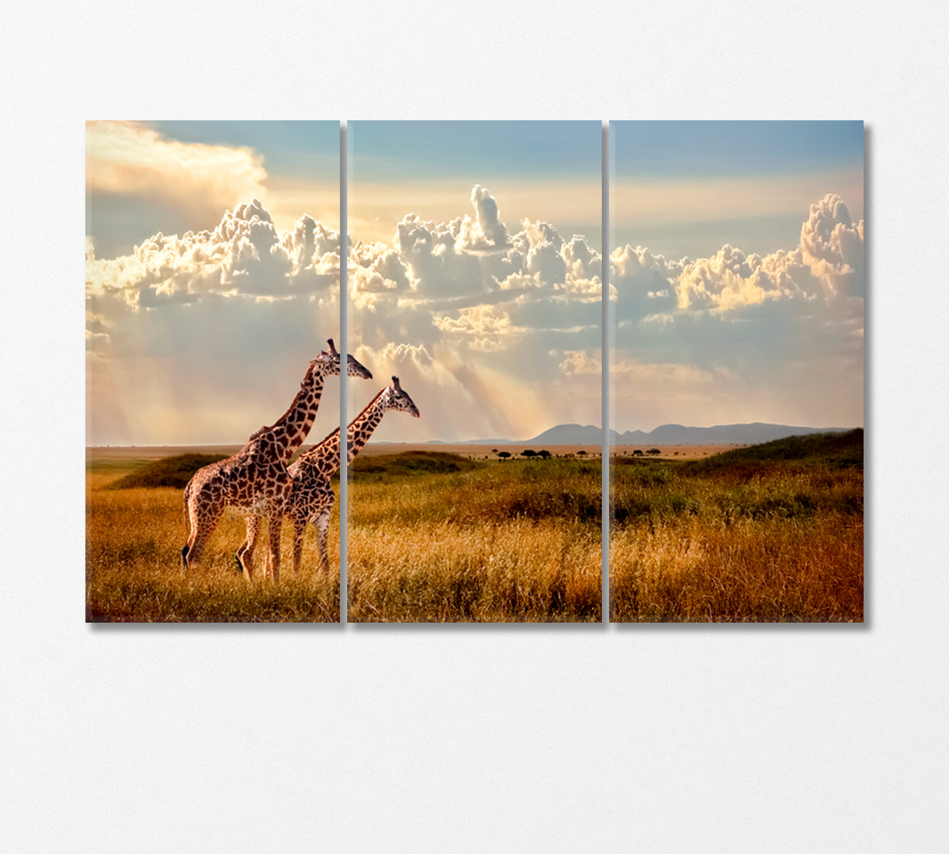 Two Giraffes in Serengeti National Park Africa Canvas Print-Canvas Print-CetArt-3 Panels-36x24 inches-CetArt