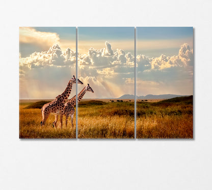 Two Giraffes in Serengeti National Park Africa Canvas Print-Canvas Print-CetArt-3 Panels-36x24 inches-CetArt