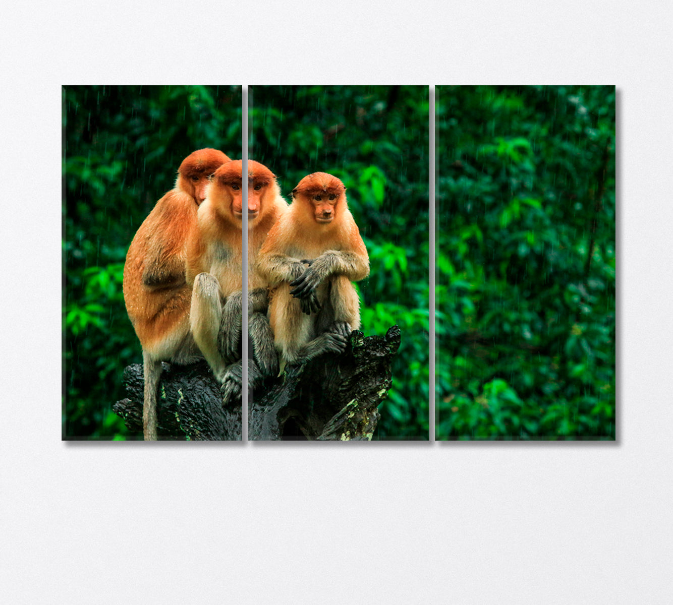 Three Monkeys Sitting on a Tree in the Rain Canvas Print-Canvas Print-CetArt-3 Panels-36x24 inches-CetArt