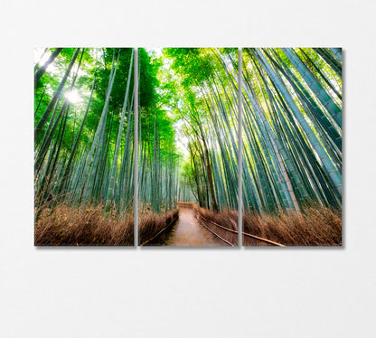 Walkway in Bamboo Forest Kyoto Japan Canvas Print-Canvas Print-CetArt-3 Panels-36x24 inches-CetArt