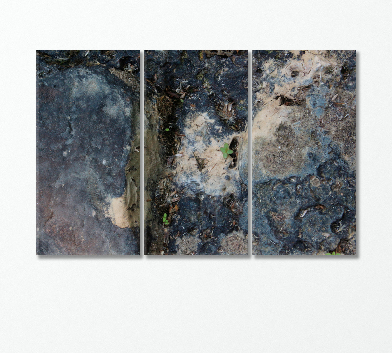 Abstract Grey Rock Canvas Print-Canvas Print-CetArt-3 Panels-36x24 inches-CetArt