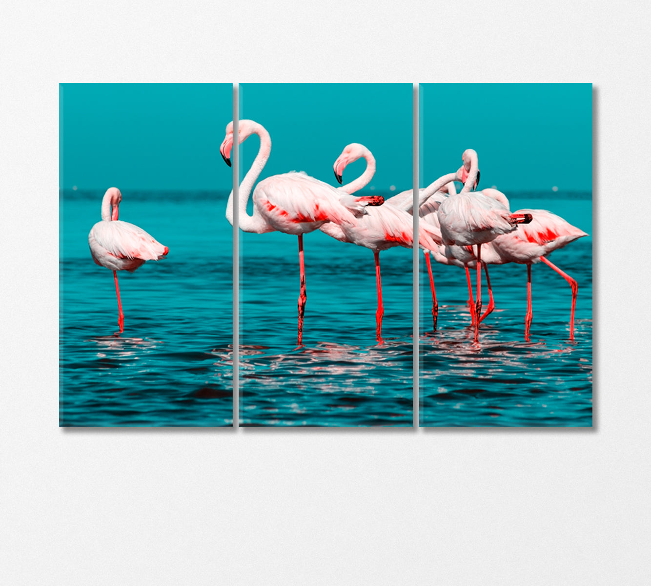 Group of White Flamingos Standing in Water Canvas Print-Canvas Print-CetArt-3 Panels-36x24 inches-CetArt