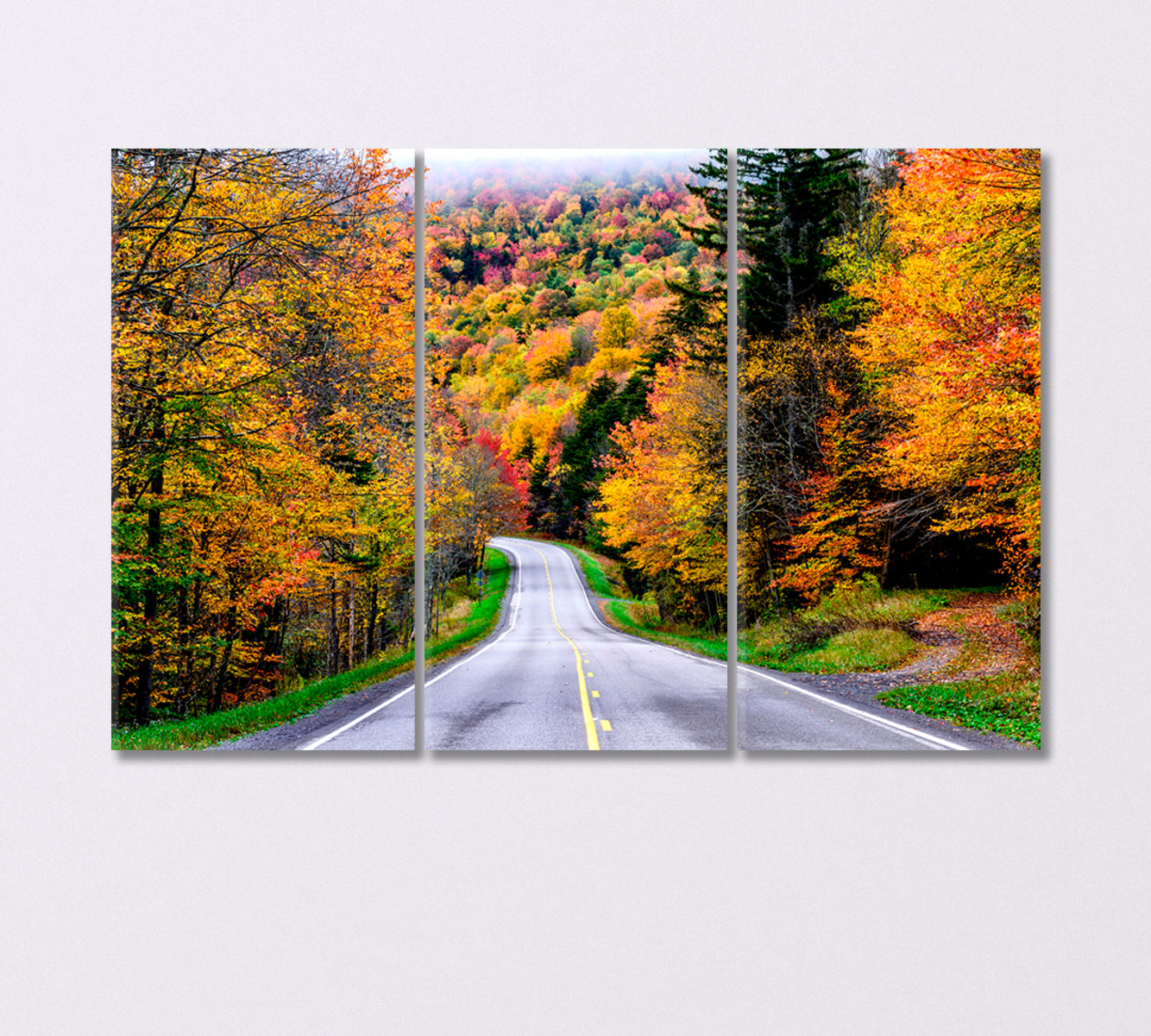 Autumn Road to Monongahela National Forest USA Canvas Print-Canvas Print-CetArt-3 Panels-36x24 inches-CetArt