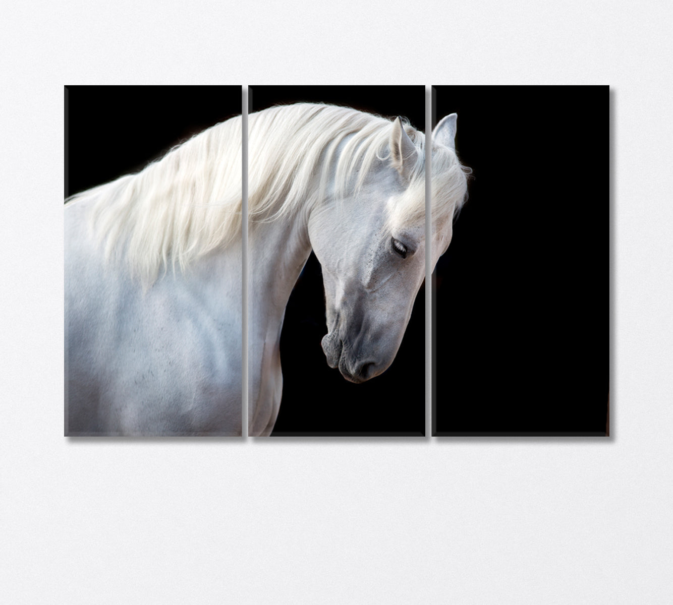 White Horse Portrait Canvas Print-Canvas Print-CetArt-3 Panels-36x24 inches-CetArt