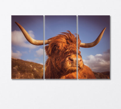 Highland Scottish Cow with Big Horns Canvas Print-Canvas Print-CetArt-3 Panels-36x24 inches-CetArt