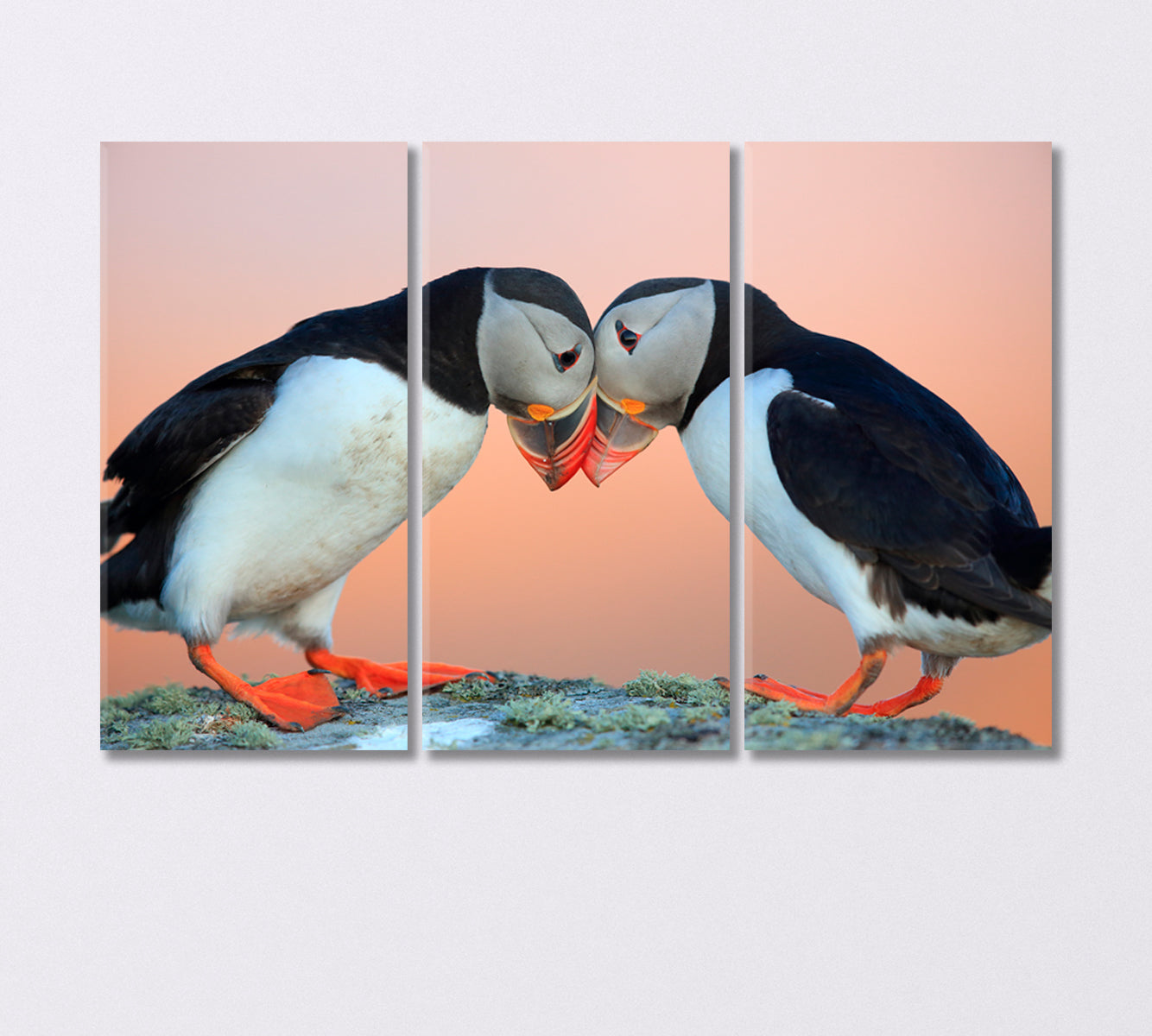 Pair of Atlantic Puffins Canvas Print-Canvas Print-CetArt-3 Panels-36x24 inches-CetArt