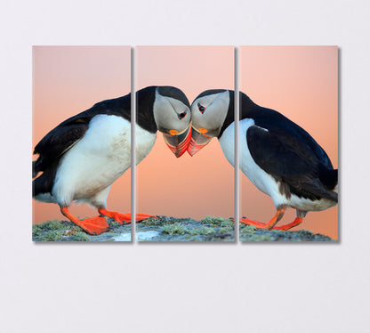 Pair of Atlantic Puffins Canvas Print-Canvas Print-CetArt-3 Panels-36x24 inches-CetArt