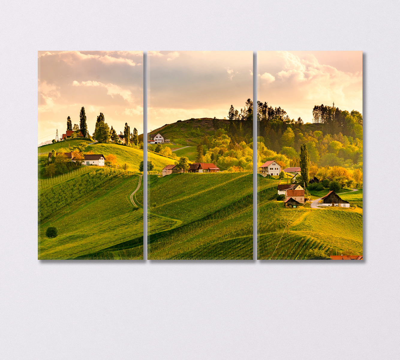 Vineyard Landscape South Styria Austria Canvas Print-Canvas Print-CetArt-3 Panels-36x24 inches-CetArt