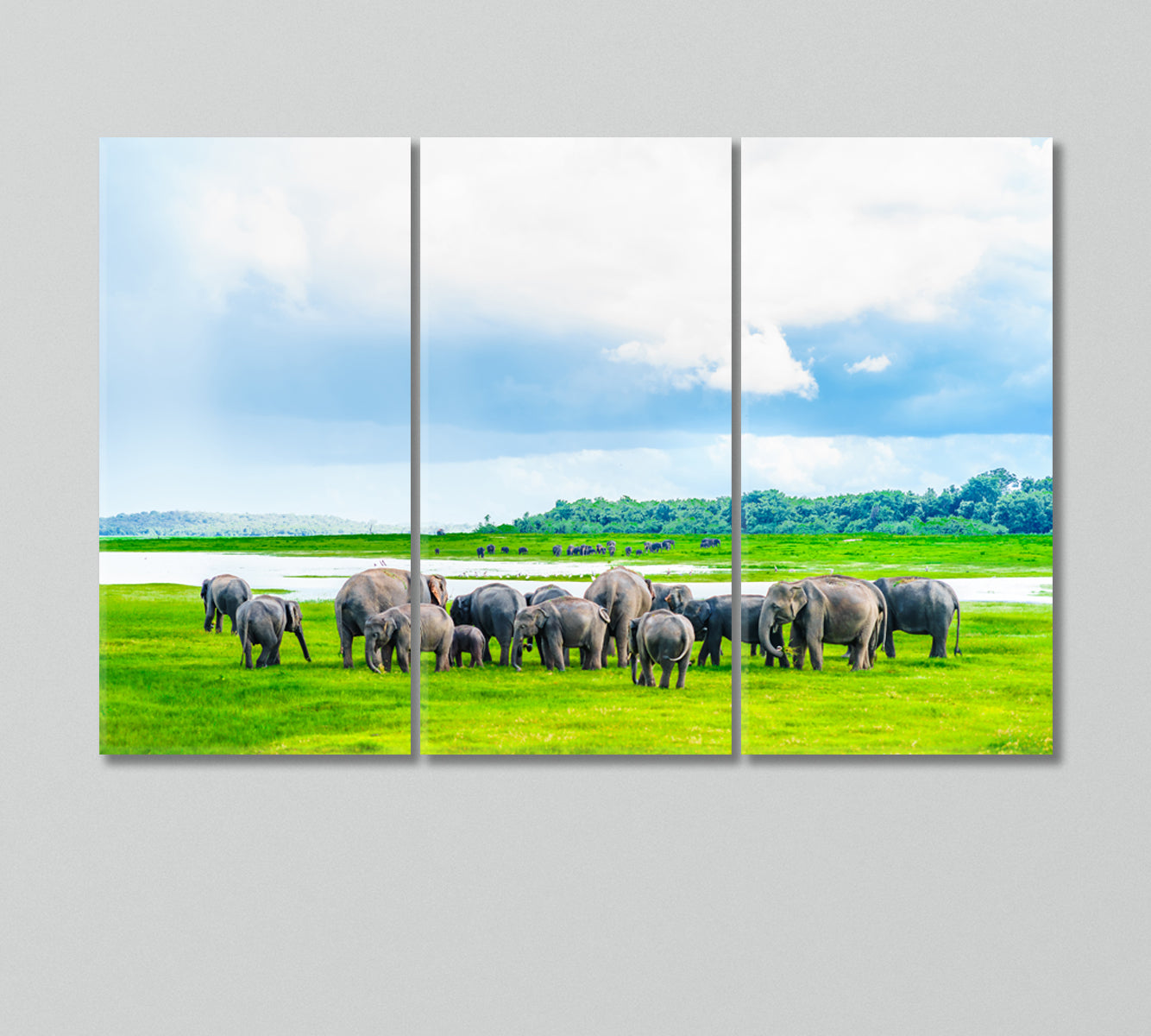 Herd of Elephants in Kaudulla National Park Sri Lanka Canvas Print-Canvas Print-CetArt-3 Panels-36x24 inches-CetArt