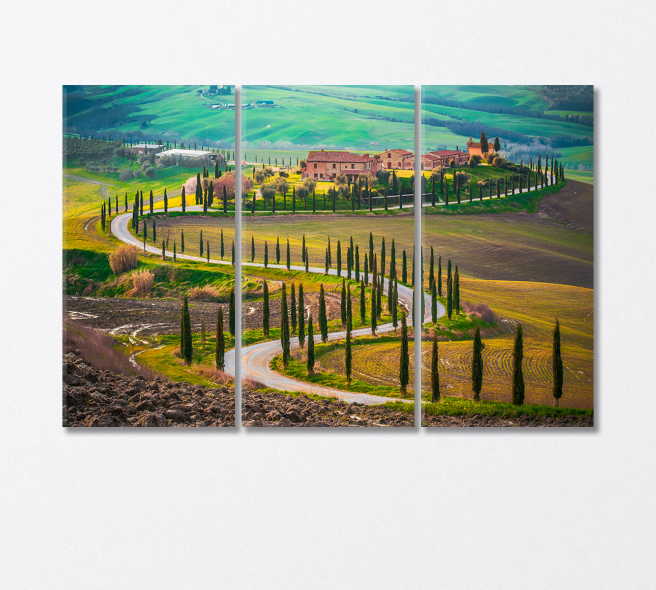 Sunny Fields in Tuscany Italy Canvas Print-Canvas Print-CetArt-3 Panels-36x24 inches-CetArt