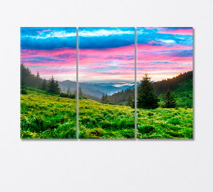 Mountain Glade During Beautiful Sunset Canvas Print-Canvas Print-CetArt-3 Panels-36x24 inches-CetArt