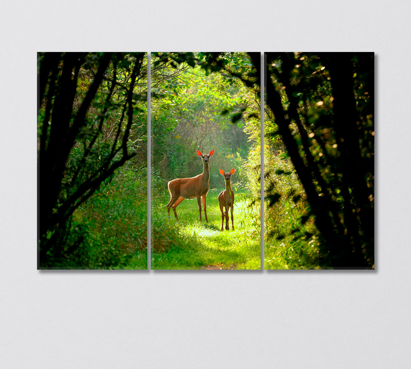 White Tailed Deer with a Fawn in the Forest Canvas Print-Canvas Print-CetArt-3 Panels-36x24 inches-CetArt