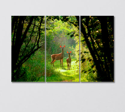 White Tailed Deer with a Fawn in the Forest Canvas Print-Canvas Print-CetArt-3 Panels-36x24 inches-CetArt