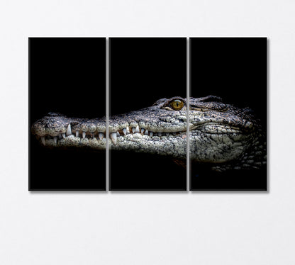 Muzzle Formidable Nile Crocodile Close Canvas Print-Canvas Print-CetArt-3 Panels-36x24 inches-CetArt