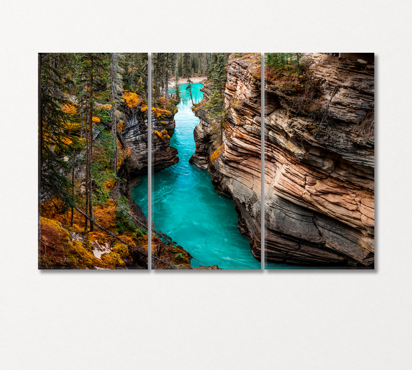 Athabasca Falls Jasper National Park Canada Canvas Print-Canvas Print-CetArt-3 Panels-36x24 inches-CetArt