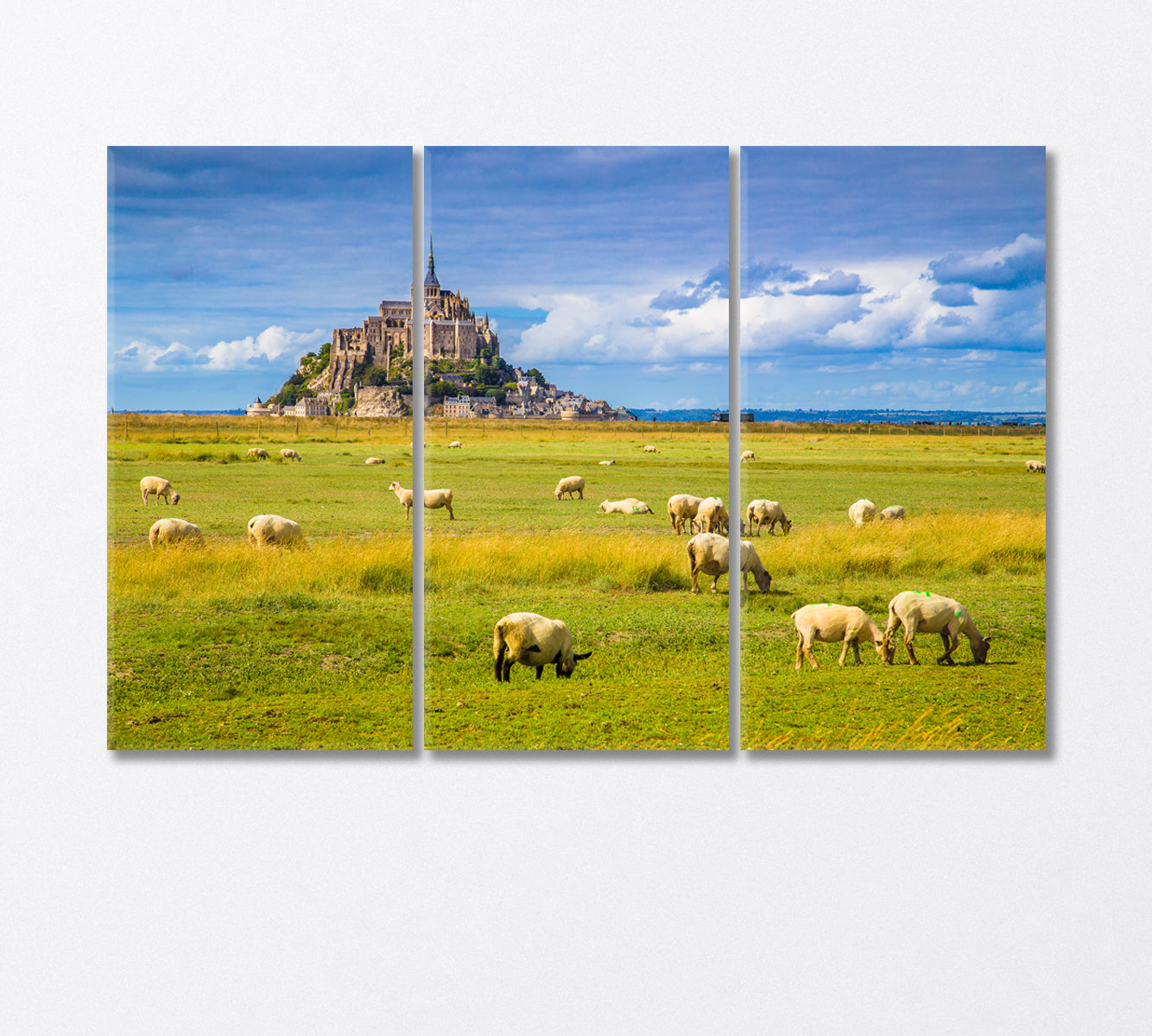 Sheep Grazing in the Fields of Fresh Green Grass Canvas Print-Canvas Print-CetArt-3 Panels-36x24 inches-CetArt