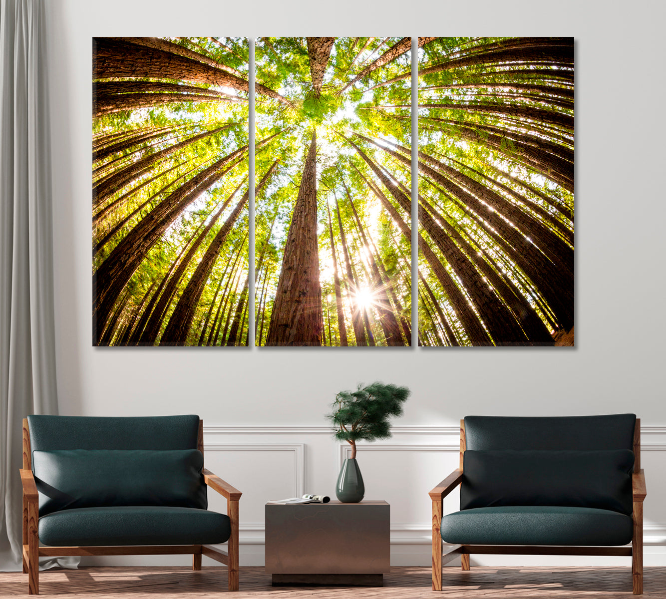 Redwood Plantation Australia Canvas Print-Canvas Print-CetArt-1 Panel-24x16 inches-CetArt