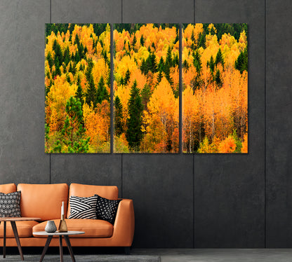 Autumn Forest with Yellow and Green Trees Canvas Print-Canvas Print-CetArt-1 Panel-24x16 inches-CetArt