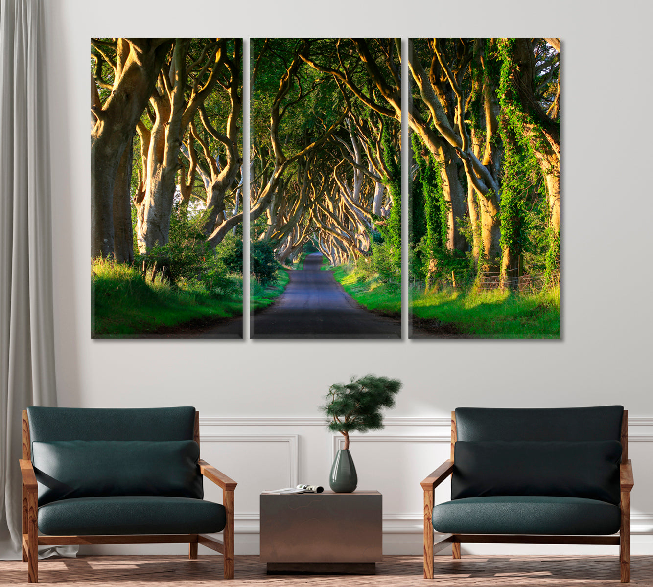 Dark Hedges Northern Ireland Canvas Print-Canvas Print-CetArt-1 Panel-24x16 inches-CetArt