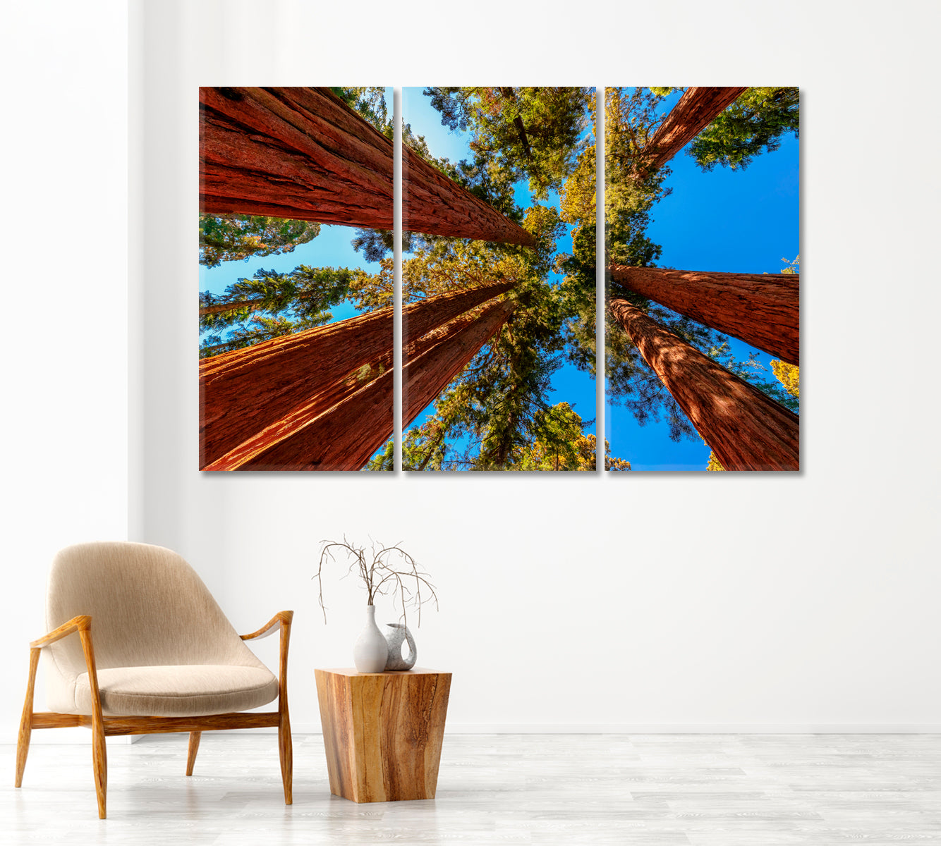 Tall Sequoia Trees Canvas Print-Canvas Print-CetArt-1 Panel-24x16 inches-CetArt