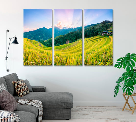 Rice Fields Hoang Su Phi Country North Vietnam Canvas Print-Canvas Print-CetArt-1 Panel-24x16 inches-CetArt