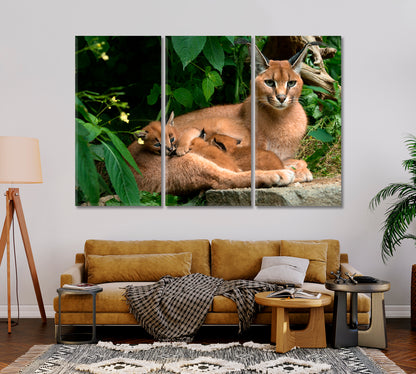 Caracal Family Canvas Print-Canvas Print-CetArt-1 Panel-24x16 inches-CetArt