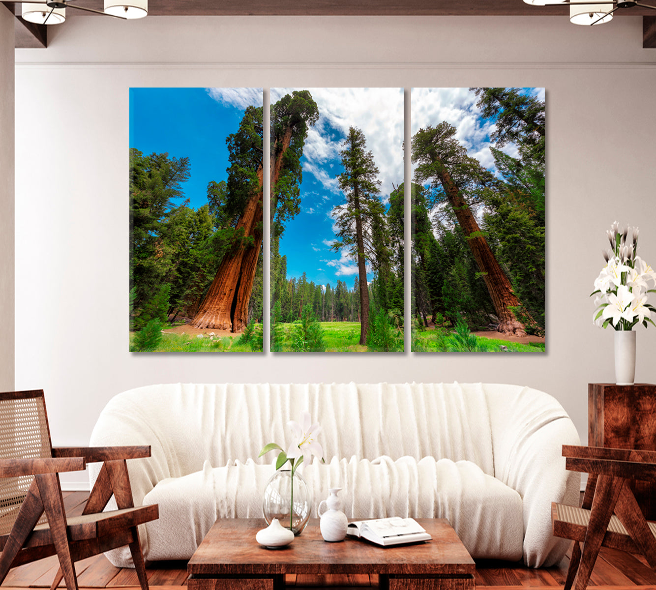 Sequoia Trees In Sequoia National Park California USA Canvas Print-Canvas Print-CetArt-1 Panel-24x16 inches-CetArt