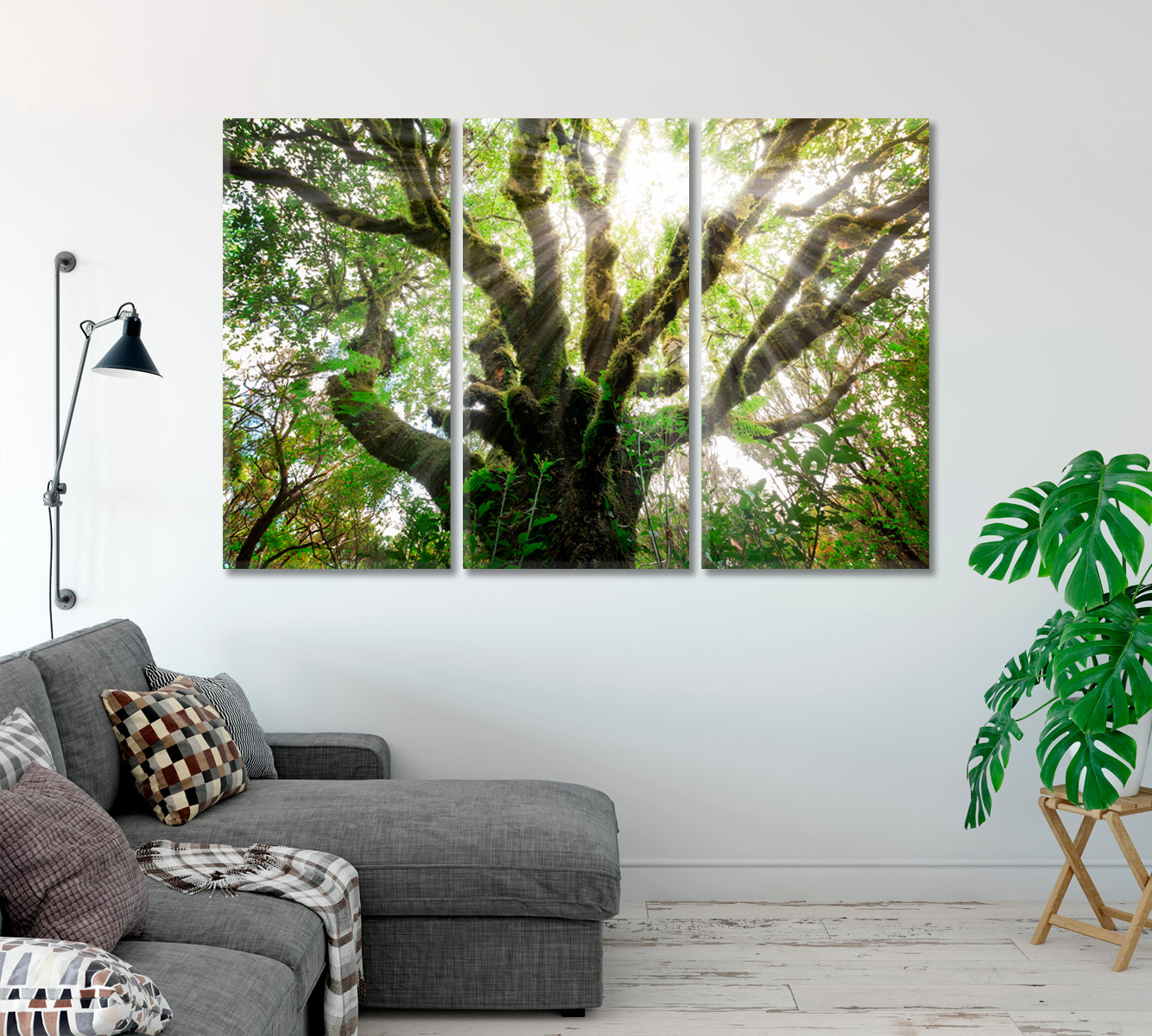 Laurissilva Forest Laurel Forest Madeira Canvas Print-Canvas Print-CetArt-1 Panel-24x16 inches-CetArt