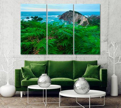 Wild Fern on El Silencio Beach Spain Canvas Print-Canvas Print-CetArt-1 Panel-24x16 inches-CetArt