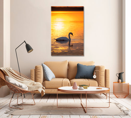 Swan on Calm Lake at Golden Sunrise Canvas Print-Canvas Print-CetArt-1 panel-16x24 inches-CetArt