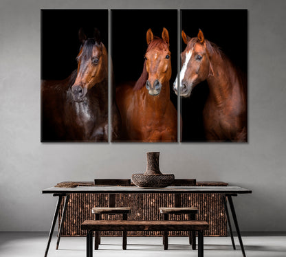 Portrait of Three Graceful Horses Canvas Print-Canvas Print-CetArt-1 Panel-24x16 inches-CetArt