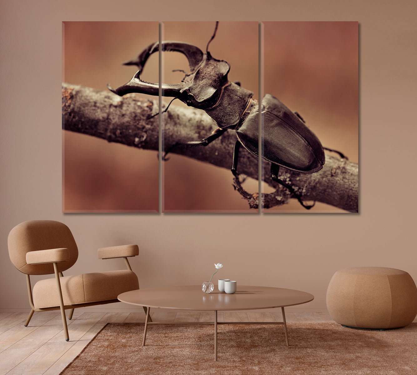 Deer Beetle Close Up Canvas Print-Canvas Print-CetArt-1 Panel-24x16 inches-CetArt