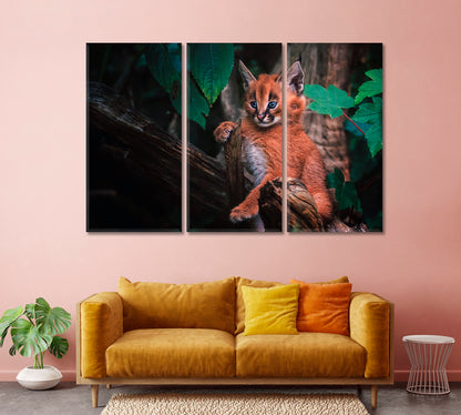 Cute Baby Caracal Canvas Print-Canvas Print-CetArt-1 Panel-24x16 inches-CetArt