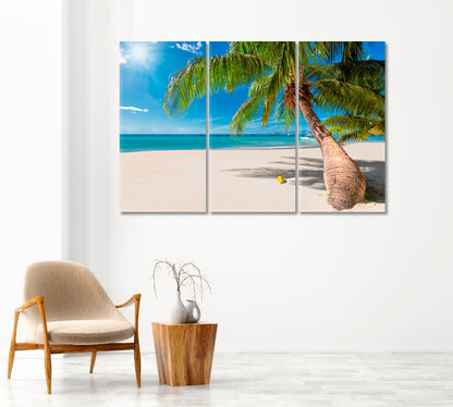 Seychelles White Sand Beach with Coconut Palm Tree Canvas Print-Canvas Print-CetArt-1 Panel-24x16 inches-CetArt