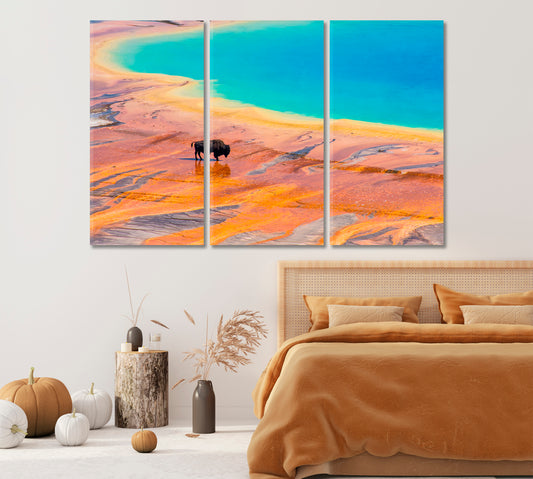 Bison at Grand Prismatic Spring Canvas Print-Canvas Print-CetArt-1 Panel-24x16 inches-CetArt