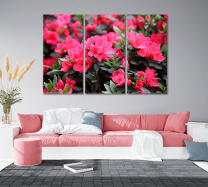 Azaleas Flowers Blooming in Spring Canvas Print-Canvas Print-CetArt-1 Panel-24x16 inches-CetArt